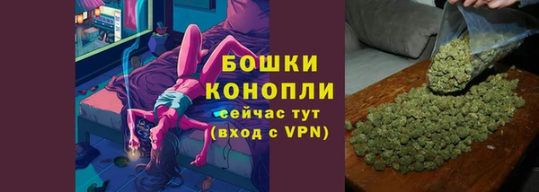 PSILOCYBIN Магас
