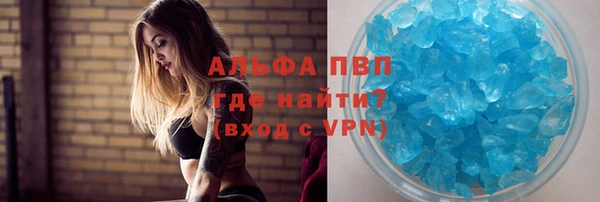 PSILOCYBIN Магас