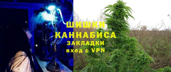 PSILOCYBIN Магас
