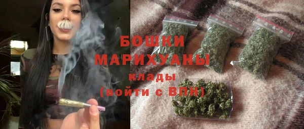 PSILOCYBIN Магас