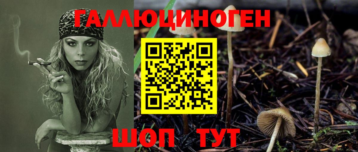 Темрюк  Псилоцибиновые грибы GOLDEN TEACHER  Вход с VPN  Псилоцибиновые грибы мухоморы 
